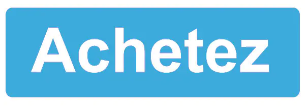 Superbe gourde en verre et son fourreau en faux-cuir de Equa